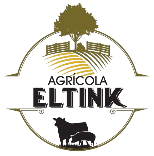 Willian Eltink